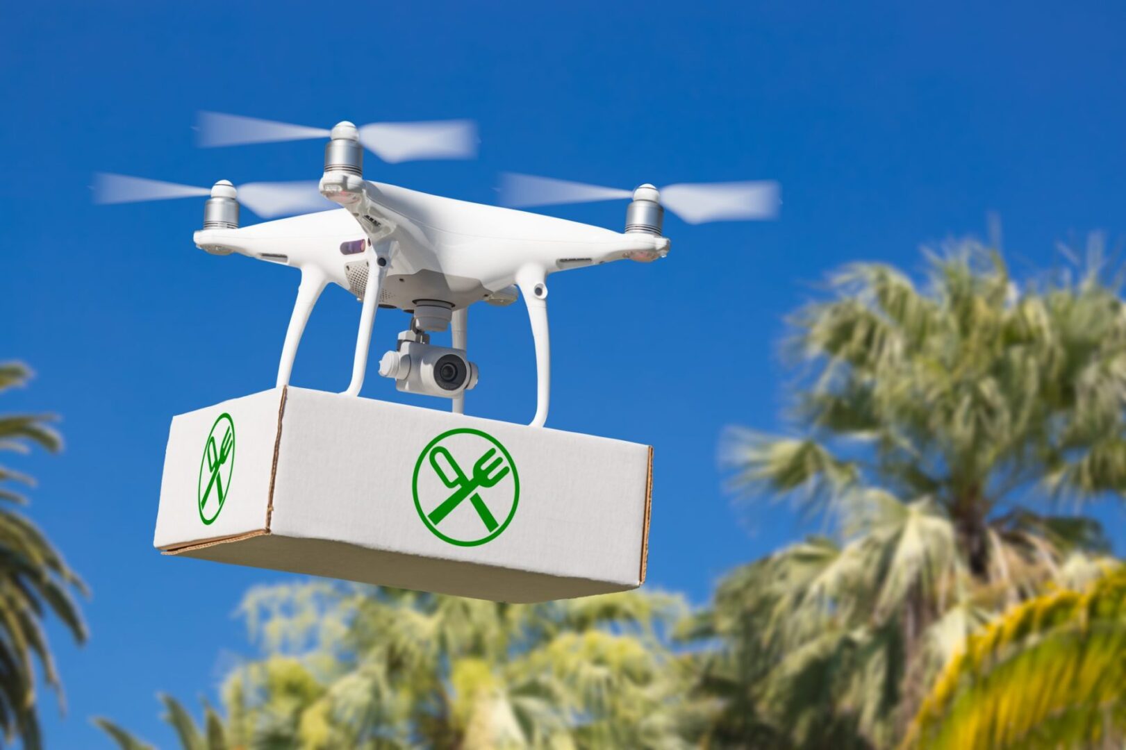Mẫu UAV giao hàng Grab đang hướng tới. Ảnh: Drone Platform
