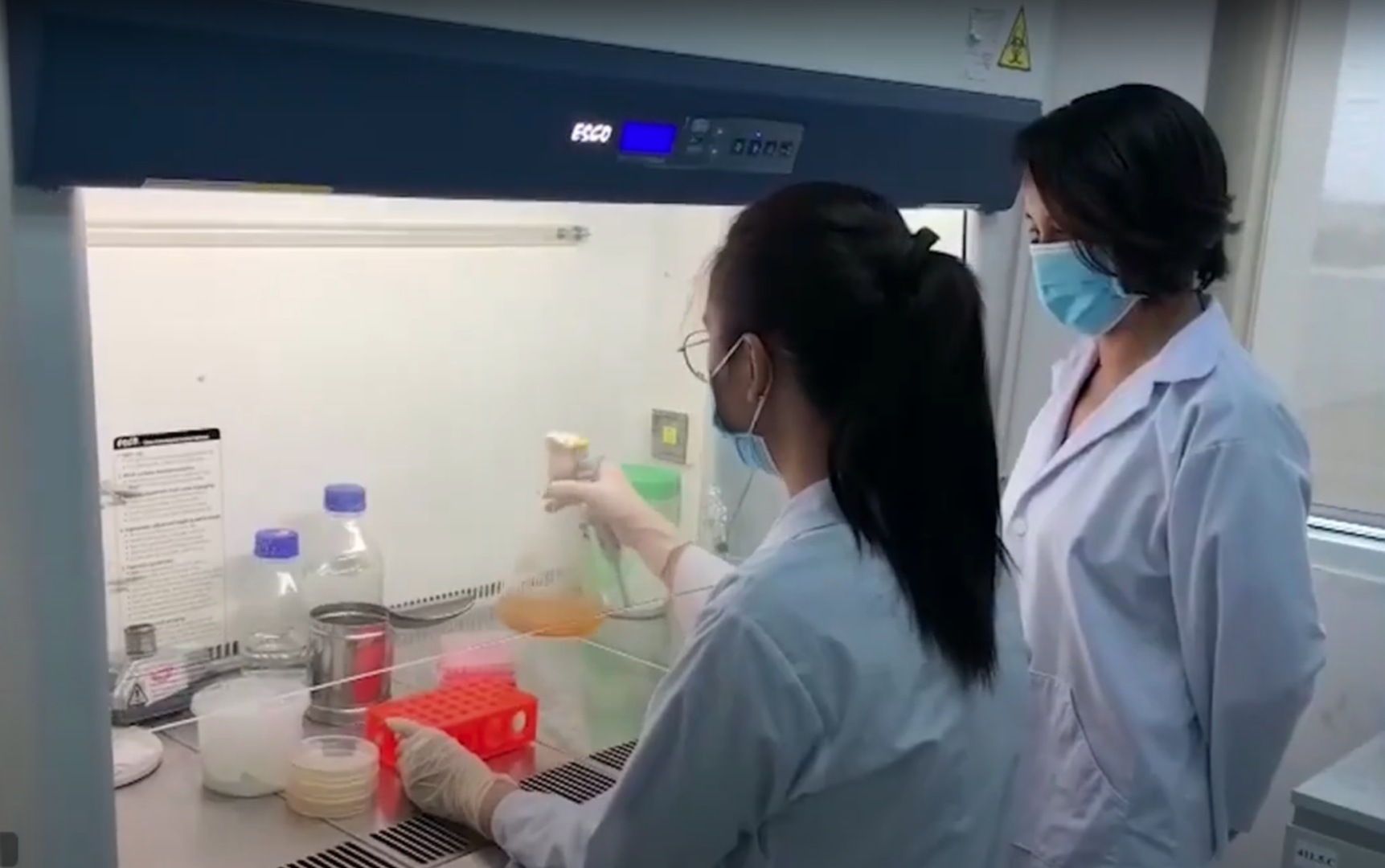 Hoạt động nghiên cứu và phát triển (R&D) chất liệu sinh học trong phòng thí nghiệm của Buyo Solution.